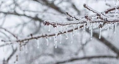 Meteorolojiden zirai don uyarısı