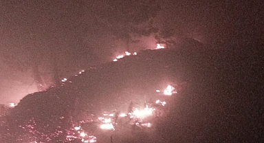 Yangın söndürüldü, 80 hektar alan zarar gördü