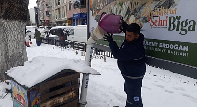 Biga Belediyesi’nden mama desteği