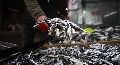 Hamsi avcılığı 15 Nisan'a kadar yasak