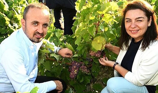 Bağlarda uygulamalı budama eğitimi