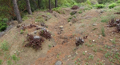 Tarihi Alan'da 28'inci Alay Şehitliği Bulundu