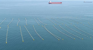 Yedinci midye üretim tesisi faaliyete geçti