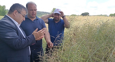 'Kanola Ekelim, Yağ Olsun, Bal Olsun'
