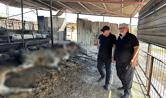 Gider; &quot;Devletimiz üzerine düşeni yapacaktır&quot;