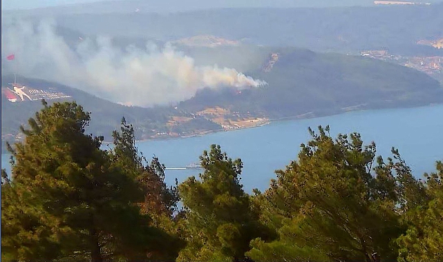 Tarihi Alan&#039;daki yangın kontrol altında