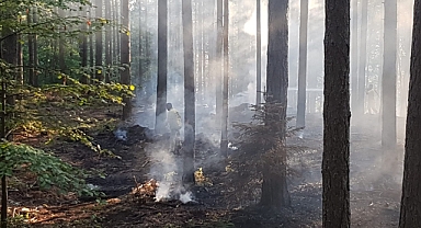 Bayramiç'te orman yangını