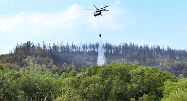 Dışbudak yangını kontrol altında