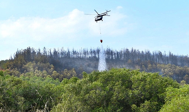 Dışbudak yangını kontrol altında