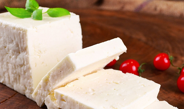 Ezine Peyniri&#039;nin AB coğrafi işaret tescilinde son aşamaya gelindi