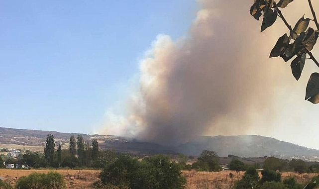 Gider; &quot;Rüzgâr ve nem yangını olumsuz etkiliyor&quot;