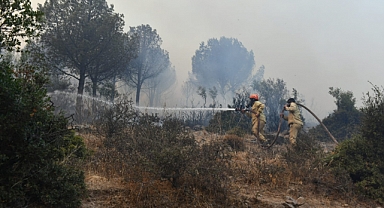 Orman yangını kontrol altına alındı