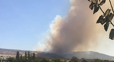 Orman yangını nedeniyle Damyeri Mevki boşaltılıyor