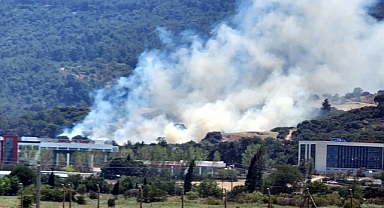 Sarıcaeli köyünde yangın