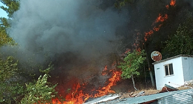 Ayvacık’ta orman yangını kontrol altında