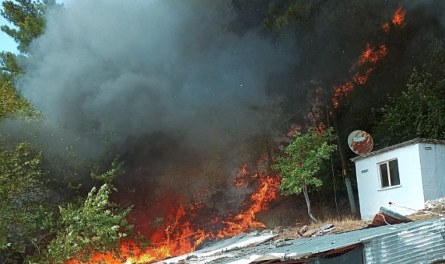 Ayvacık’ta orman yangını kontrol altında