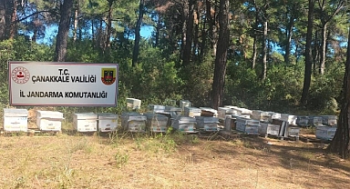 Ezine'de arı kovanı hırsızlığı