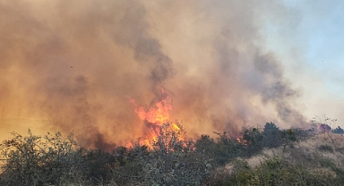 Gelibolu'daki yangın söndürüldü