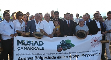 Gider; "Aronya bitkisi ciddi bir gelir kaynağı olacak"