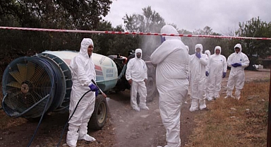 Işıklar Köyünde şap ve koyun keçi vebası saha tatbikatı