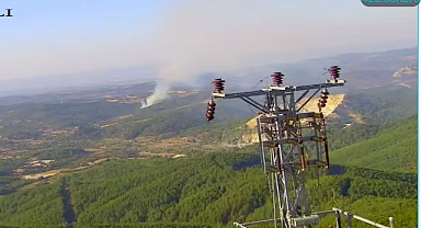 Ayvacık'ta orman yangını kontrol altında