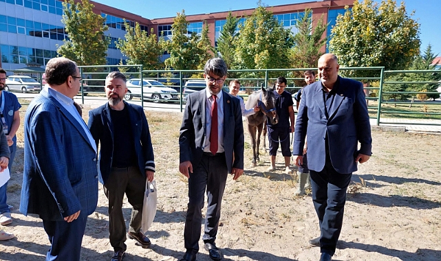 Biga&#039;ya Veterinerlik Fakültesi ve Hayvan Hastanesi kurulması çalışmaları başladı