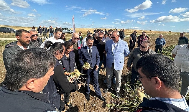 Çıplak Köyünde şeker pancarı hasadı