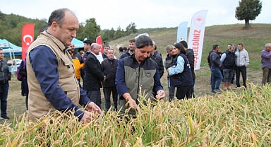 'Damlaya Damlaya Çeltik Olur'