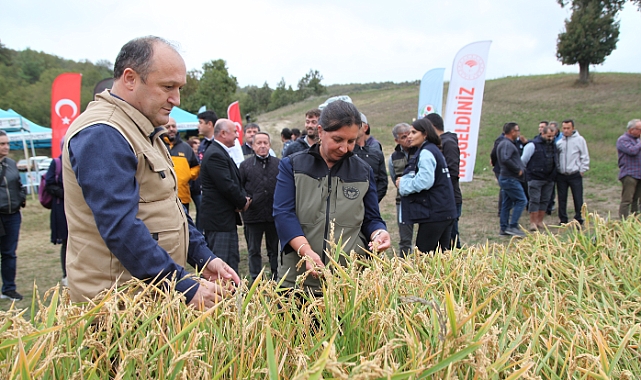 &#039;Damlaya Damlaya Çeltik Olur&#039;