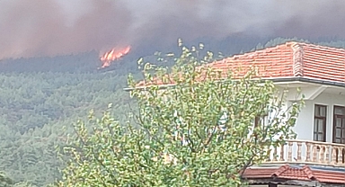 Gelibolu'da orman yangını