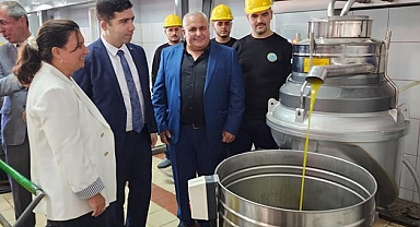 Sezonun ilk zeytinleri işlenmeye başlandı