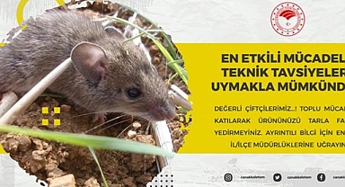 Üreticilere tarla faresi uyarısı