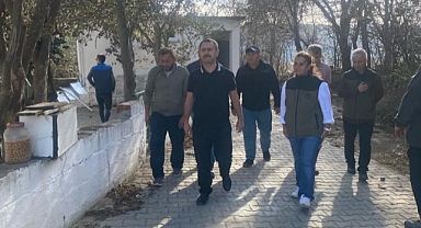 Vali Aktaş'tan yangın bölgesinde inceleme