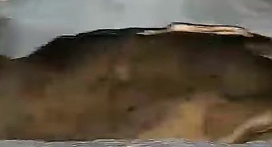 Yenice'de yol çöktü!