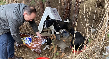 İl Özel İdaresi'nden can dostlarımıza mama desteği