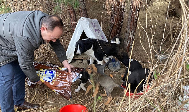 İl Özel İdaresi&#039;nden can dostlarımıza mama desteği