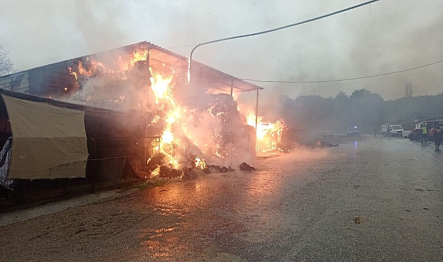 Balaban&#039;da yangın paniği