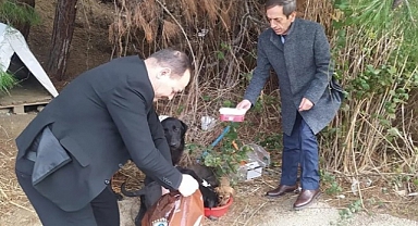 Can dostlarımıza mama desteği sürüyor