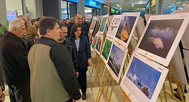 "Tarım, Orman ve İnsan" sergisi açıldı