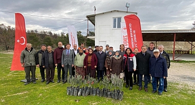 Yangın mağduru üreticilere zeytin fidanı dağıtıldı