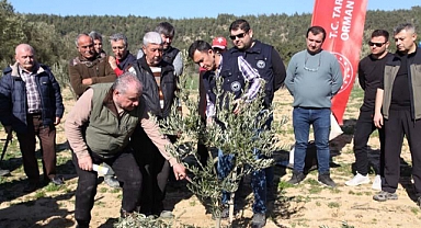 Zeytin yetiştiricilerine eğitim