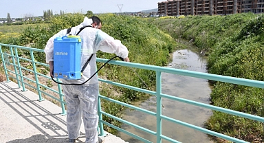 Biga Belediyesi'nden larva ilaçlaması