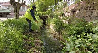Çan Belediyesi'nden larva ilaçlaması