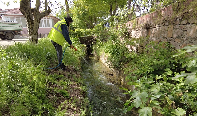 Çan Belediyesi&#039;nden larva ilaçlaması