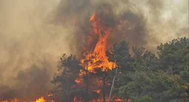 Çanakkale'de orman yangınlarına karşı önemli uyarı!