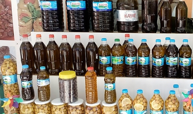 Eceabat Zeytinyağı Coğrafi İşaretle Dünya Sofralarına Ulaşacak