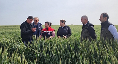 İl genelinde sürvey çalışmalarına başlanıldı!