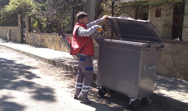 Karasinek ve sivrisinek ile mücadele devam ediyor