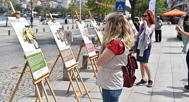 Coğrafi işaretli ürünler sergide tanıtıldı