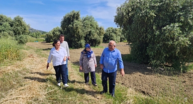 Türkarslan Gökçeada'da projeleri inceledi